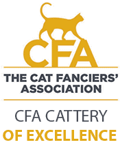 CFA Cattery of Excellence