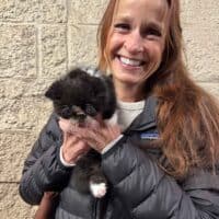 Black Bicolor Exotic Shorthair Kitten in Waxahachie, Texas